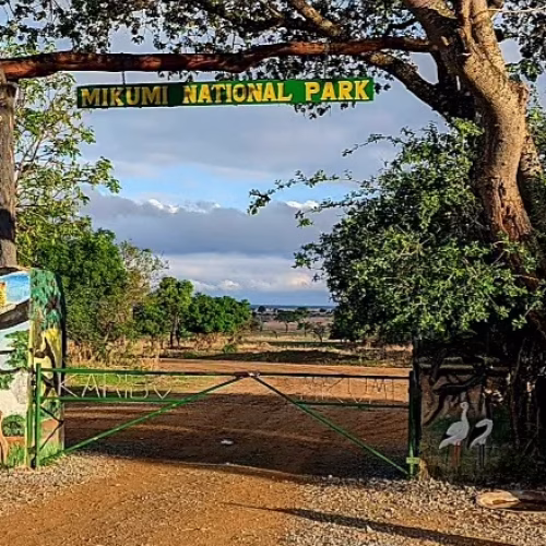 Mikumi-national-park-gates
