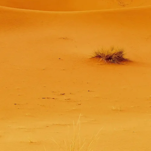 Morroco desert