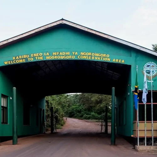 Ngorongoro National Park