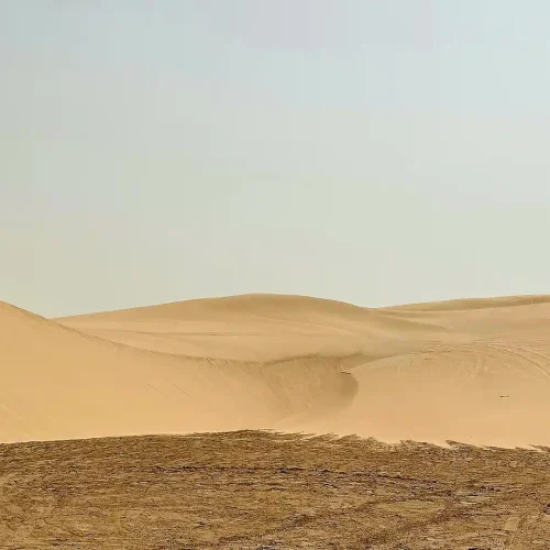Qatar desert