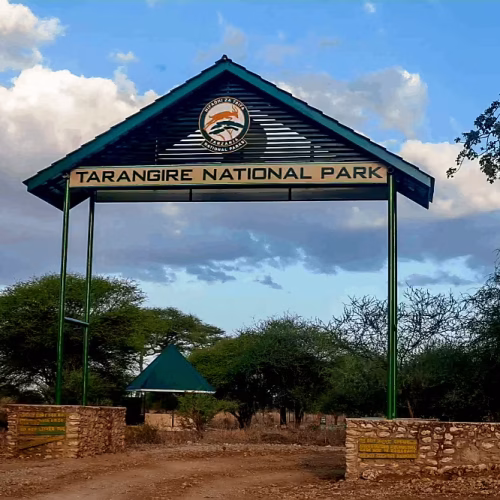 Tarangire Gate